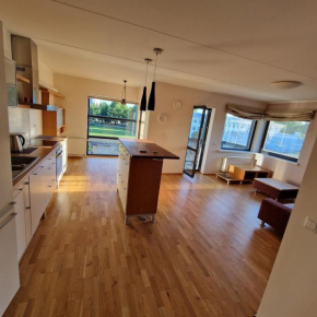 Sunny apartment near the beach!